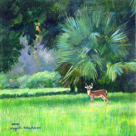 Florida Deer Life: Dawn 8"x8" SOLD
