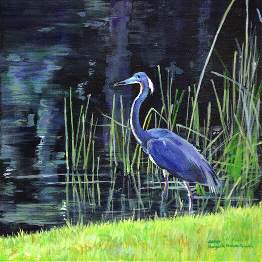 Blue Heron Neighbor Blue Heron Neighbor