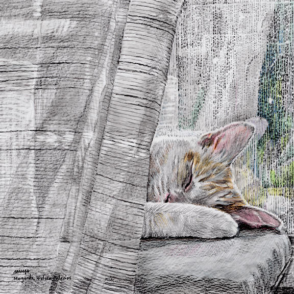 "Cat Nap", colored pencils on drafting film, 8"x8" matted to 12"x12" and framed. $450